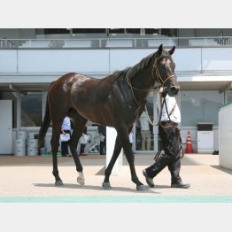 小倉に戻れば一発があっていい