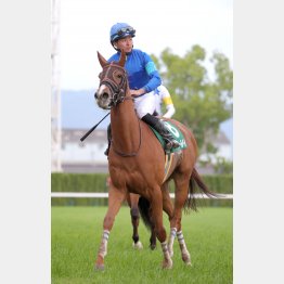 今の馬場傾向に合う