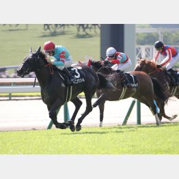 先週の佐世保Sを快勝