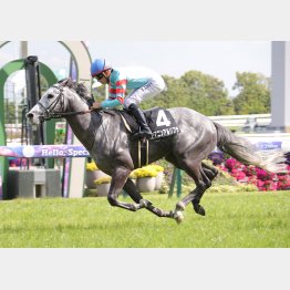 連勝中の勢いを重視