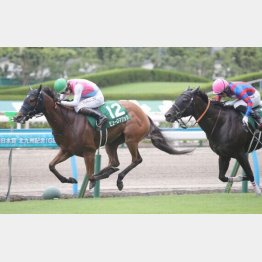 昨年は3番人気ピューロマジックが重賞連勝