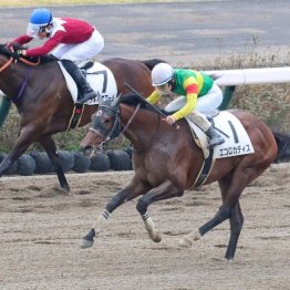 【レスキュー隊の日曜競馬コラム・福島12Ｒ】