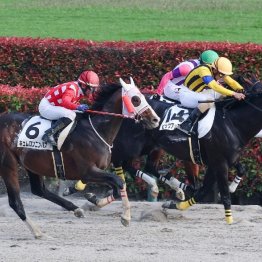 【東京本紙・外山の日曜福島９Ｒ】