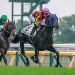 【東京本紙・外山の日曜福島10Ｒ】