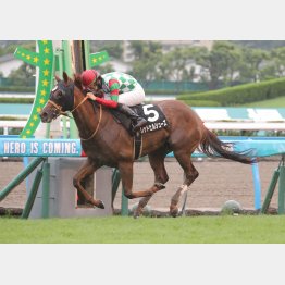 昨夏の小倉で連勝