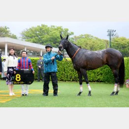 前走勝ちの内田騎手が連続騎乗