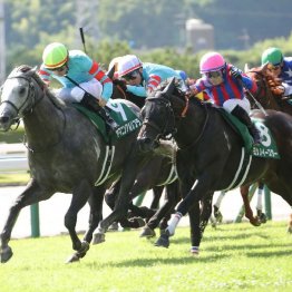 【北九州記念】ヤマニンアルリフラ勢いそのままに３連勝でタイトル奪取