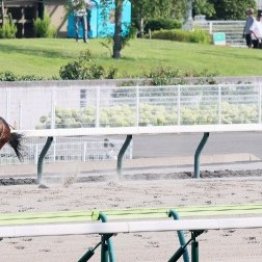 【ジュライＳ】シゲルショウグン逃げて５馬身差圧勝