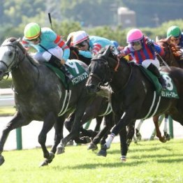【北九州記念】２年連続で②着ヨシノイースターが見せた夏競馬の高い経験値