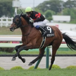 【阿蘇Ｓ、巴賞】日曜は北と南でオープン特別２鞍