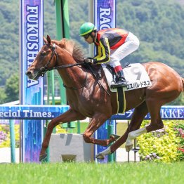 北九州記念で狙うべきだったインリアリティの血　２歳戦好調ドレフォン産駒は芝、ダート、距離を問わないオールラウンダーな活躍