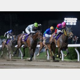 エンプレス杯で重賞連勝