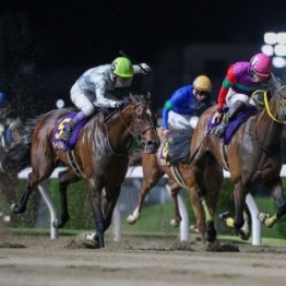 【スパーキングレディーＣ】本格化テンカジョウ信頼する