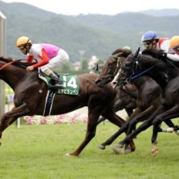 【七夕賞】枠連７－７の七夕馬券は過去１回　そろそろ７枠の巻き返しが