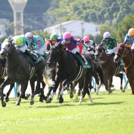 快レコードの３年前と大きく違う小倉の芝