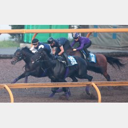 ダンテスビューは3頭併せの真ん中から1F11秒1