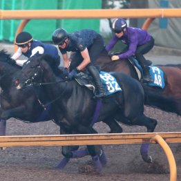 【七夕賞】調教マル得チェック②