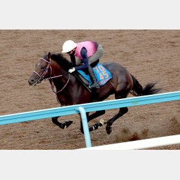 馬なりでも力強いフットワーク