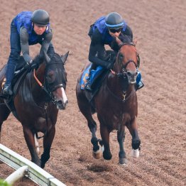 【七夕賞】ドゥラドーレス、楽な手応えで坂路１Ｆ１１秒９と絶好