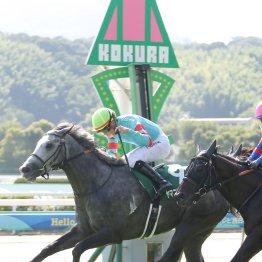 先週までで重賞８連勝　４歳世代は歴代最強レベルか！？