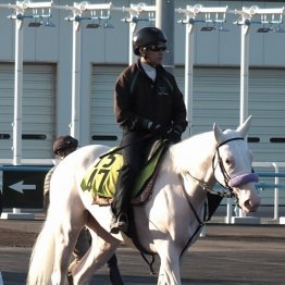 【函館土曜５Ｒ】白毛マルガが追う偉大な先輩たちの背中