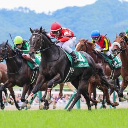 【七夕賞】１番人気の信頼性は勝ち時計と関係かがある！？
