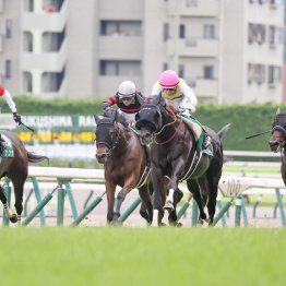 【七夕賞】人気サイドからヒモ穴でドリーム馬券ゲットだ