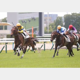 鞍上の川田も能力を買っている(右オレンジ帽)