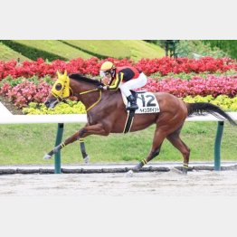 初勝利の地で復活へ