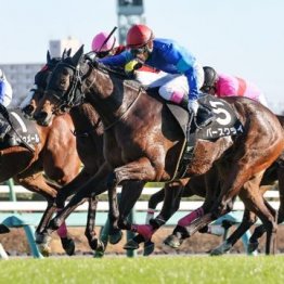 【大谷の土曜競馬コラム・安達太良Ｓ】