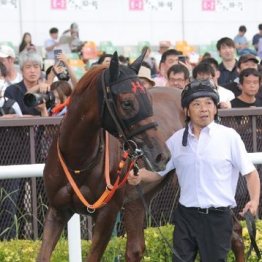 【武田の土曜競馬コラム・五稜郭Ｓ】