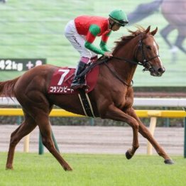 【橘の土曜競馬コラム・安達太良Ｓ】