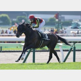 函館は2戦2勝