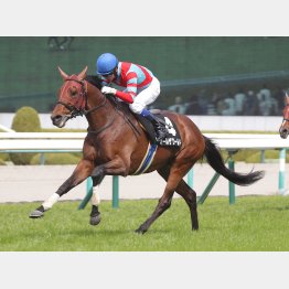 入障2戦目から3連勝を達成