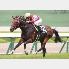 武庫川特別を快勝