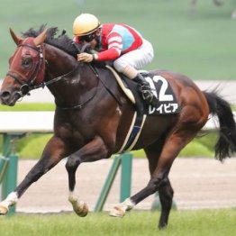 【東京本紙・外山の土曜福島10Ｒ】