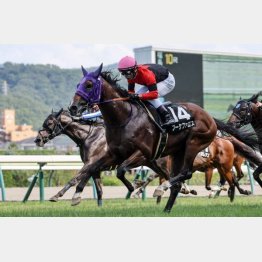一昨年はこの舞台で2勝クラスを卒業