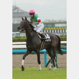 重賞級のポテンシャルを持つ
