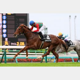 前走勝ちは掛け値なしに優秀