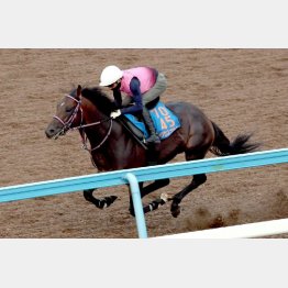 トップハンデで挑むシリウスコルトは……
