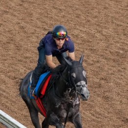 【大谷の日曜競馬コラム・七夕賞】