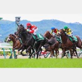昨年は2、1番人気の5歳でワン・ツー