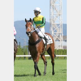 勝羽はインフローレ推し