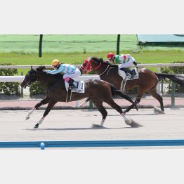 ダートに替わって2連勝中