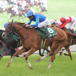 【レスキュー隊の日曜競馬コラム・福島12Ｒ】