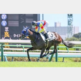 自己条件に戻れば信頼できる