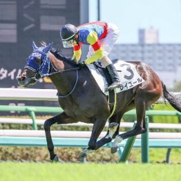 【東京本紙・外山の日曜福島９Ｒ】