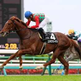 【七夕賞】◎コスモフリーゲン　○ドゥラドーレス菊花賞④着、勝ち負けも