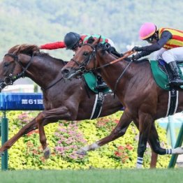 【七夕賞】コスモフリーゲンがゴール前の激戦を制して重賞初制覇