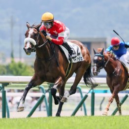 福島最終週はロベルト系が狙い目、初勝利コントレイル産駒はアベレージヒッタータイプ！？